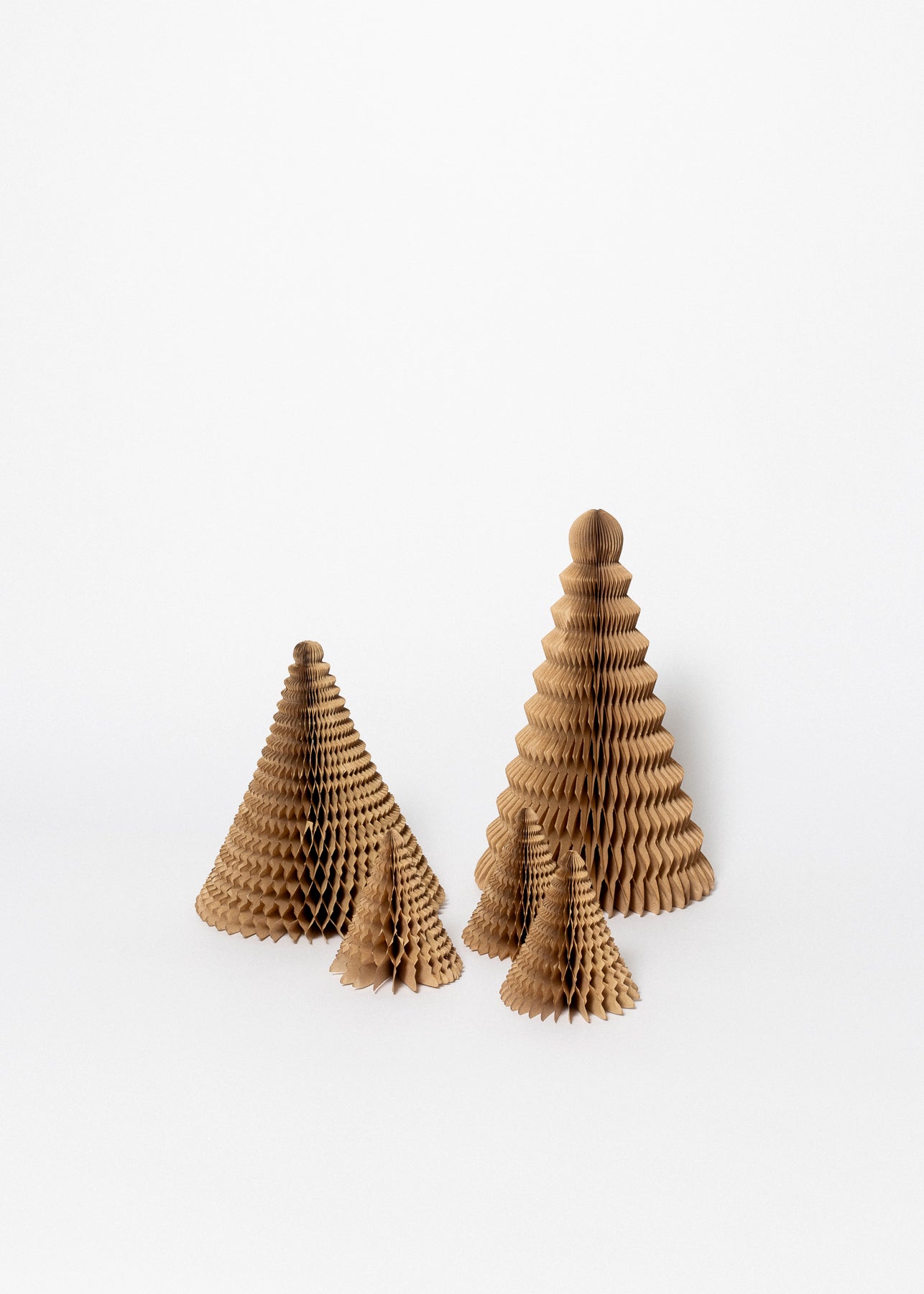 Modern Tree: Kraft 8 in